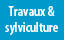 Travaux et sylviculture