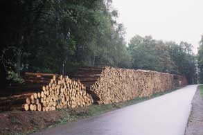 Billons et bois de trituration débardés bord de route accessibles aux grumiers